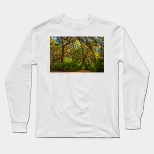 Cumberland Island National Seashore Long Sleeve T-Shirt